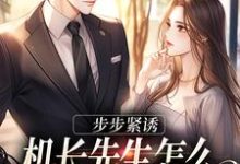 哪里能找到步步紧诱：机长先生怎么不遵守协议小说的全部章节？-红梅文学