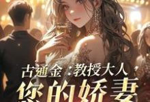 古通金:教授大人,您的娇妻已到货小说完结了吗?在哪里可以免费读到?-红梅文学