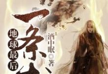 地球最后一条龙小说的无弹窗阅读体验,寻找免费阅读网站-红梅文学
