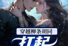 穿越柳条胡同,扛起家族大任最新章节,穿越柳条胡同,扛起家族大任免费阅读-红梅文学