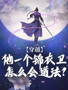 丁伟小说穿越：他一个锦衣卫怎么会道法？章节免费阅读