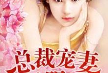 《总裁夜欢无限爱》小说夏晚樱黎宋何思颖贺嘉霖章节章节免费在线阅读-红梅文学