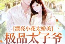 《漂亮小花太娇美,极品太子爷被撩疯》小说傅随黎染章节章节免费在线阅读-红梅文学