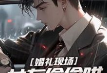 完结版《婚礼现场,女友偷偷哄她白月光》章节阅读-红梅文学