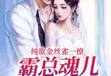 时苒司墨珩小说完整版《纯欲金丝雀一撩,霸总魂儿都在飘》免费阅读-红梅文学