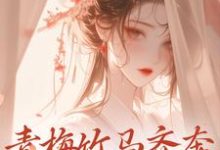 青梅竹马齐奔朝堂夺权势免费阅读,青梅竹马齐奔朝堂夺权势来娣宋天-红梅文学