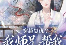 穿越复仇?我师兄帮我直接搞定这本小说怎么样?免费在线阅读试试-红梅文学