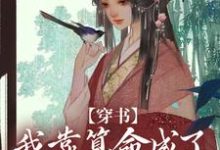 穿书:我靠算命成了修真界万人迷小说的免费阅读版本在哪里可以找到?-红梅文学