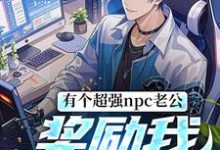 在线寻找有个超强npc老公,奖励我框框拿小说的无删减版本-红梅文学