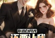 陈萧顾洛颜小说完结版在线阅读,你选白月光,还要让我继续当舔狗?免费看-红梅文学