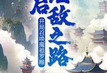 《开局召唤魔祖罗睺,开启无敌之路》小说叶沐章节章节免费在线阅读-红梅文学