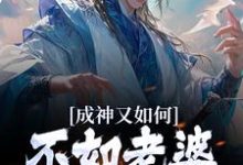 小说《成神又如何,不如老婆孩子热炕头》在线章节阅读-红梅文学