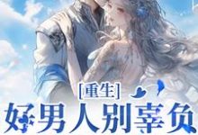 重生:好男人别辜负,渣男别放过小说全文哪里可以免费看?-红梅文学