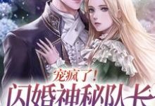 洛甯陆乘渊小说在线章节免费阅读（宠疯了！闪婚神秘队长后五年抱仨无弹窗无删减）-红梅文学