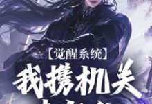 已完结小说《觉醒系统:我携机关来复仇》章节在线阅读-红梅文学