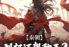 秦朝:刘邦还想称王?有我就没门小说的免费电子版在哪里可以下载或阅读?-红梅文学