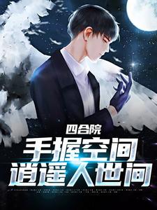 陈锋何雨柱小说《四合院：手握空间，逍遥人世间》在线阅读