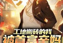 工地搬砖的我,被首富亲妈找回家完整版小说,工地搬砖的我,被首富亲妈找回家最新章节-红梅文学