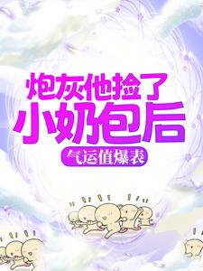 炮灰他捡了小奶包后，气运值爆表小说无弹窗阅读的网站推荐