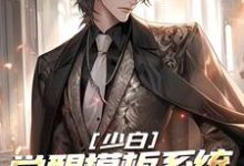 已完结小说《少白：觉醒模板系统，入世即无敌》在线章节阅读-红梅文学