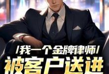 完结版《我一个金牌律师,被客户送进监狱了》章节阅读-红梅文学