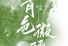 《青色微醺》完整版小说免费阅读-红梅文学