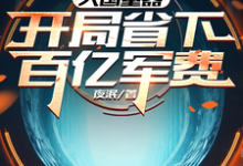 大国重器：开局省下百亿军费免费阅读，大国重器：开局省下百亿军费叶辰-红梅文学