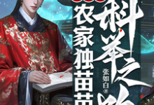 已完结小说《穿越之农家独苗苗的科举之路》章节免费阅读-红梅文学