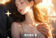 《带着奶奶嫁进豪门》陆今安申晓妮完整版小说免费阅读-红梅文学