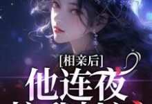 陆十一傅珹小说《相亲后,他连夜拉我扯证》完整版免费阅读-红梅文学