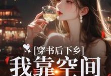 穿书后下乡,我靠空间躺平咯叶南衣,穿书后下乡,我靠空间躺平咯小说免费阅读-红梅文学