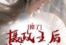 撩了摄政王后,我跑不掉了小说全文阅读需要付费吗?寻找免费资源-红梅文学