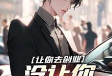 让你去创业,没让你制霸全球这本小说完结了吗?免费查看最新章节-红梅文学