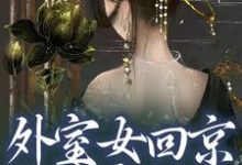 《外室女回京,权贵齐折腰》小说免费阅读完整版-红梅文学