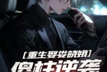 重生娶娄晓娥,傻柱逆袭爽文男主小说无弹窗阅读的网站推荐-红梅文学