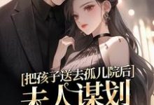 小说《把孩子送去孤儿院后,夫人谋划总裁家产》章节免费阅读-红梅文学
