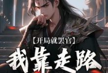 沈星河完整版小说《开局就罢官，我靠走路就能变强》免费阅读-红梅文学