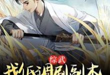 《综武:我低调刷副本,入世即无敌》小说免费阅读完整版-红梅文学