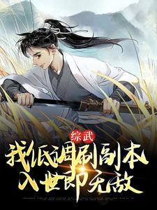 《综武：我低调刷副本，入世即无敌》小说免费阅读完整版