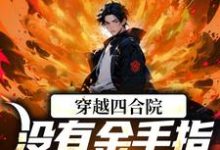 穿越四合院:没有金手指也能撕禽兽小说全文哪里可以免费看?-红梅文学