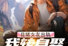 小说《目睹女友出轨,我转身娶了她姐姐》章节免费阅读-红梅文学