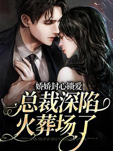 陆铭声顾岚小说娇娇封心锁爱，总裁深陷火葬场了完整版阅读