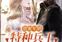 在线免费阅读甜蜜军婚:特种兵王宠她入骨!完整小说-红梅文学