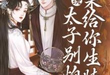 男主绝嗣？我来生！完整版小说免费阅读，男主绝嗣？我来生！小说-红梅文学