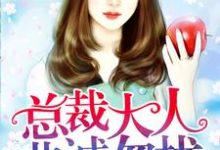 完整版《总裁大人非诚勿扰》小说免费阅读-红梅文学