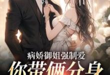 病娇御姐强制爱,你带俩分身过分了江辞,病娇御姐强制爱,你带俩分身过分了章节在线阅读-红梅文学