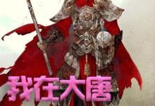 《我在大唐卖军火》小说免费阅读完整版-红梅文学