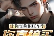 让你宣称积压车型,你直接买脱销?这本小说怎么样?免费在线阅读试试-红梅文学