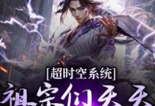 已完结小说《超时空系统:祖宗们天天往我这跑》在线章节阅读-红梅文学