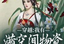 穿越:我有满空间物资还得逃命?小说的免费阅读版本在哪里可以找到?-红梅文学